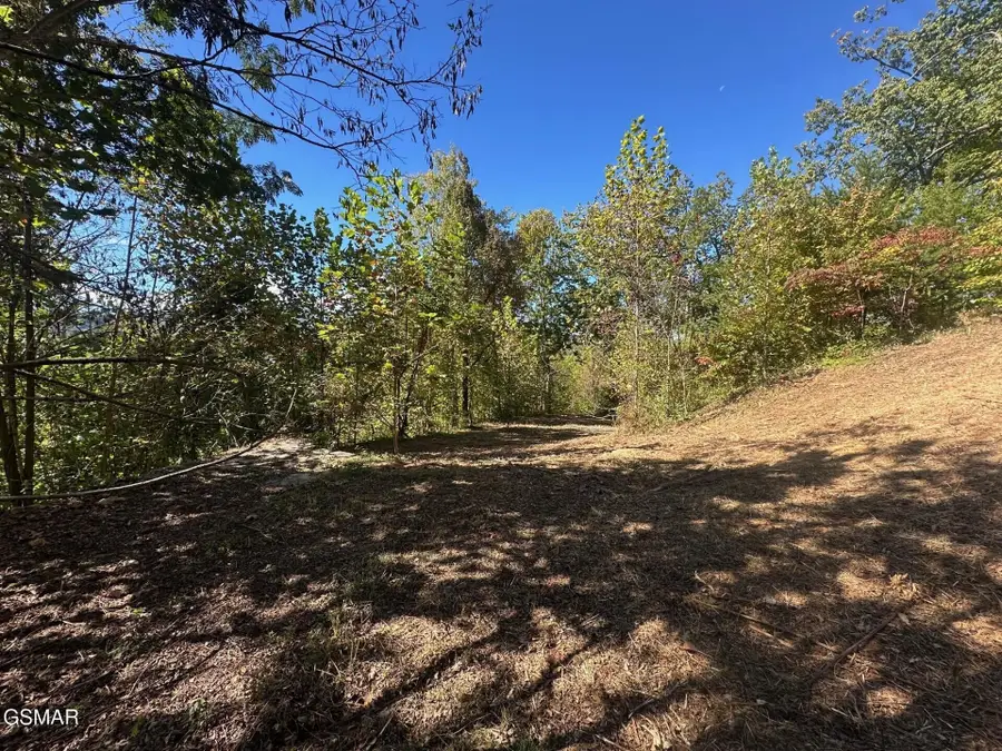 361 Oakwood Drive, Sevierville, TN 37876 - #2
