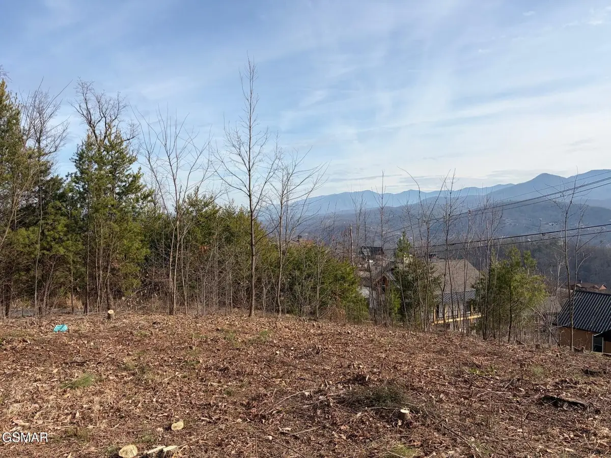 730 Wiley Oakley Drive, Gatlinburg, TN 37738 - #1