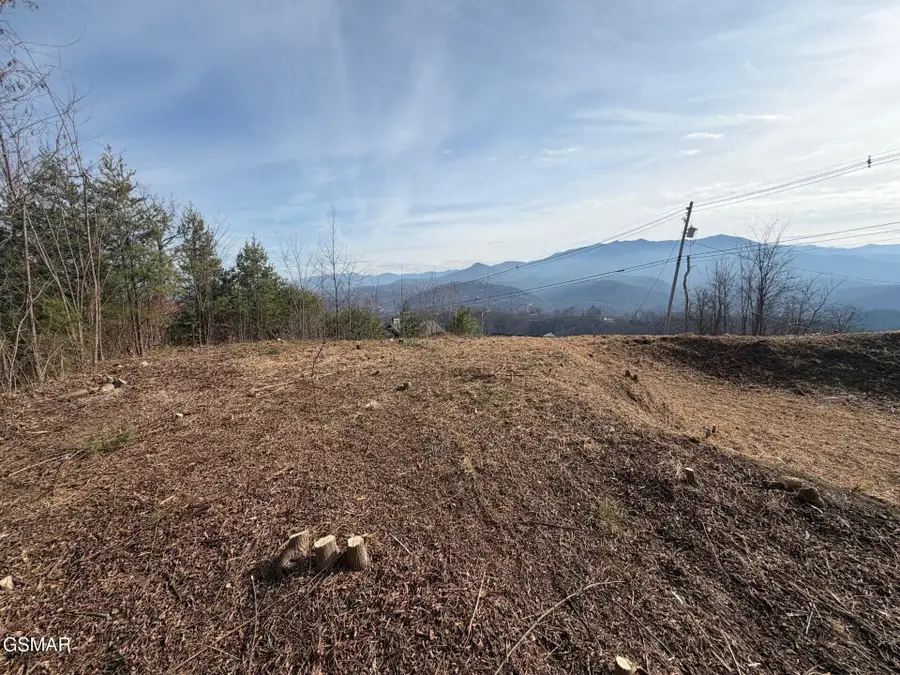 730 Wiley Oakley Drive, Gatlinburg, TN 37738 - #2