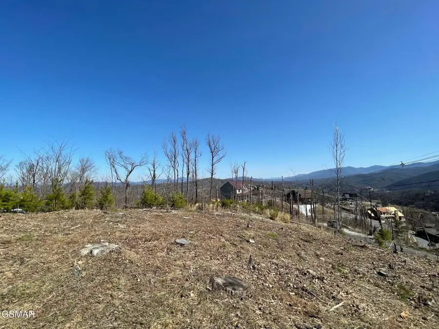 730 Wiley Oakley Drive, Gatlinburg, TN 37738 - #3