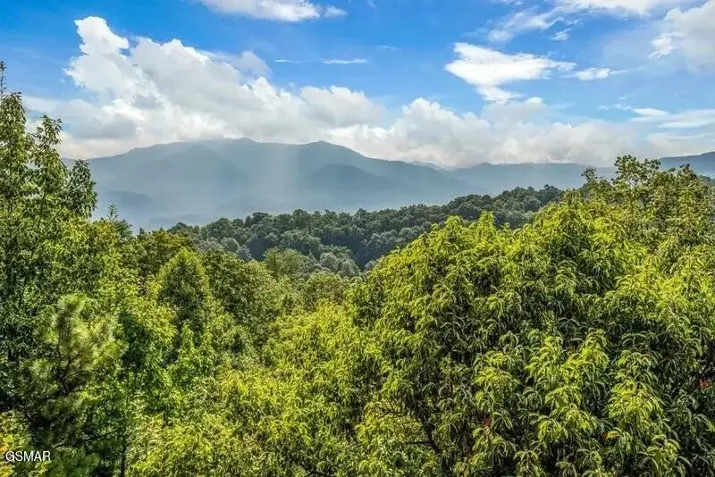 1109 Ski View Drive, Gatlinburg, TN 37738 - #2