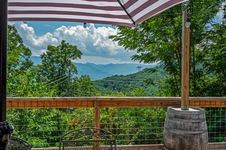 1166 Ski View Drive, Gatlinburg, TN 37738 - #2
