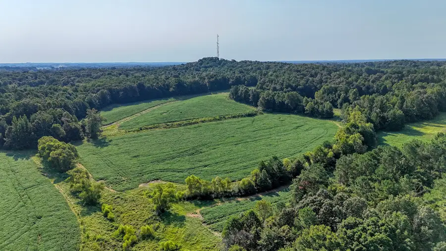 0 Finch Rd, Gleason, TN 38229 - #2
