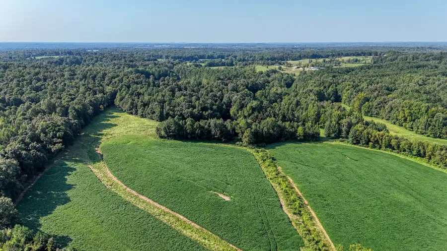 0 Finch Rd, Gleason, TN 38229 - #3