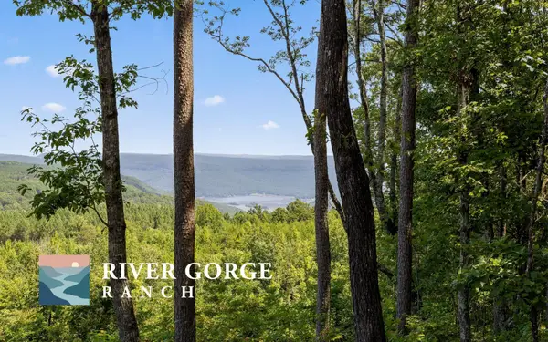 1220 Crows Nest Drive, Guild, TN 37340