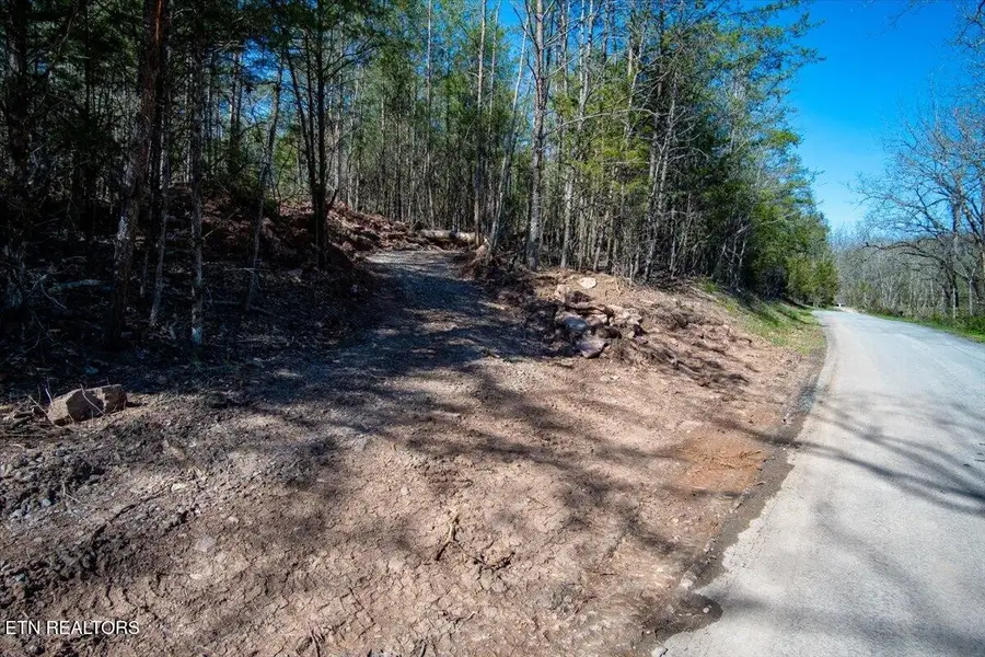 0 Wolfenbarger Tract 1, Luttrell, TN 37779 - #3