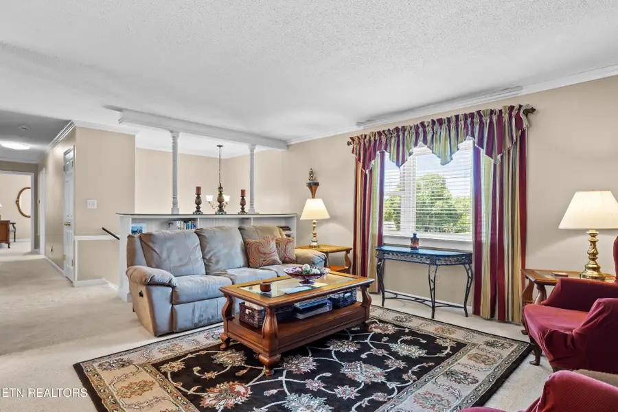 1321 Crestwood Drive, Louisville, TN 37777 - #3