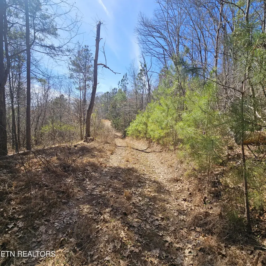0 Lick Creek Rd, Tellico Plains, TN 37385 - #3