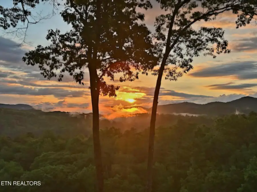 100 Warriors Passage Drive, Tellico Plains, TN 37385 - #3