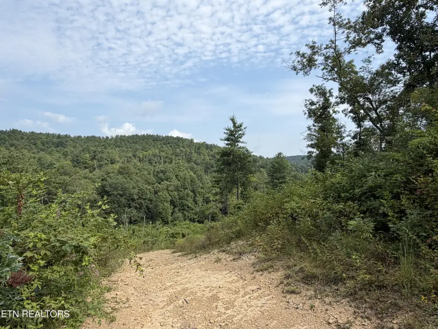 14030 Skull Creek Rd, Robbins, TN 37852 - #3