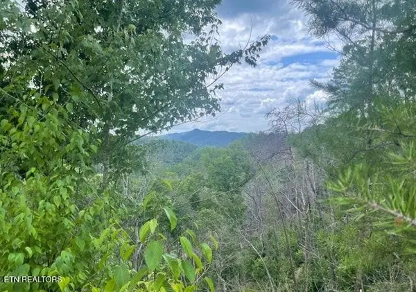 0 Lot 4 River Birch Way, Sevierville, TN 37862