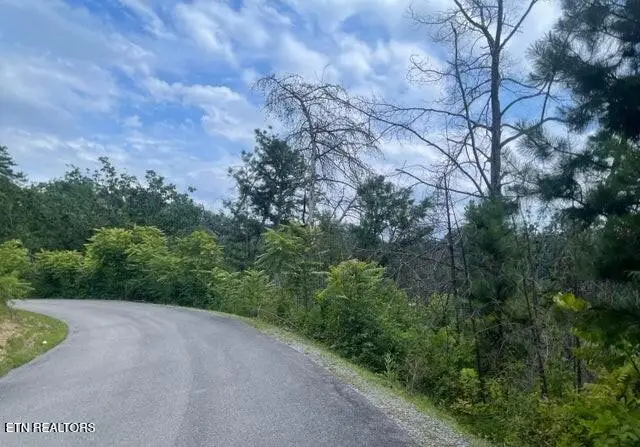 0 Lot 4 River Birch Way, Sevierville, TN 37862 - #2