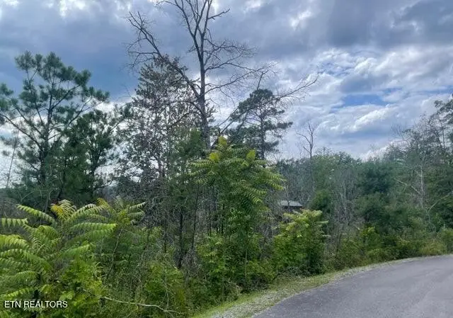 0 Lot 4 River Birch Way, Sevierville, TN 37862 - #3