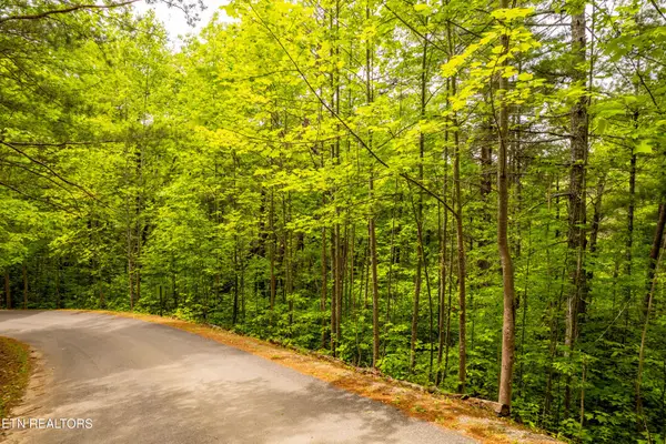 914 Stonegate Way, Townsend, TN 37882