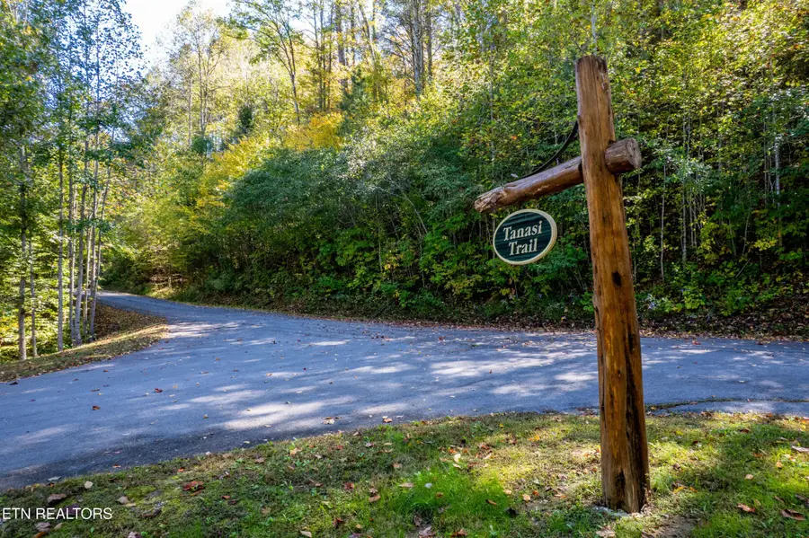 716 Tanasi Trail, Townsend, TN 37882 - #3