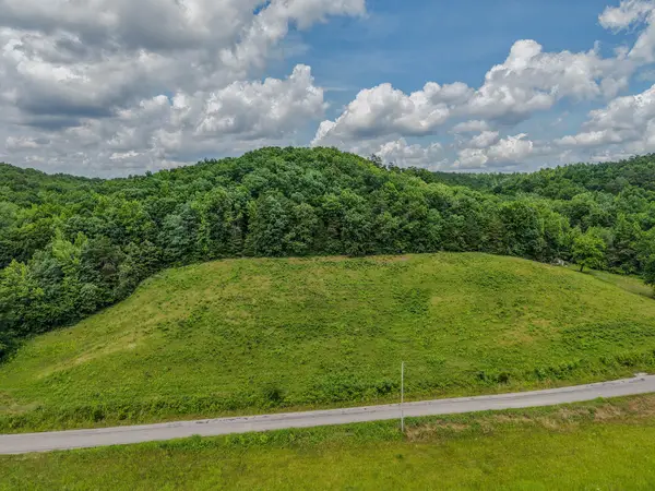 0 Rayburn Creek Rd, Collinwood, TN 38450