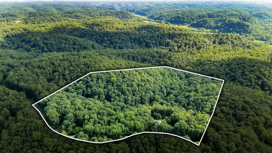 4545 Scenic Hills Ln, Franklin, TN 37064 - #3
