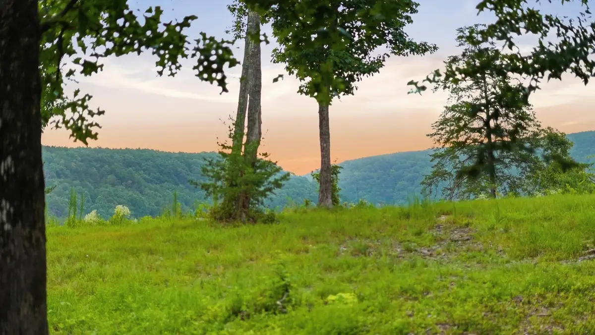 0 Worley Road, Soddy Daisy, TN 37379 - #1