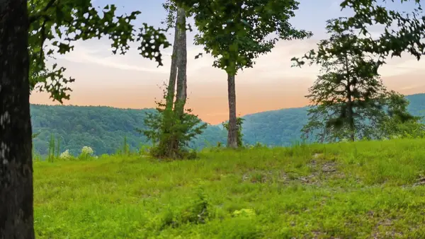 0 Worley Road, Soddy Daisy, TN 37379