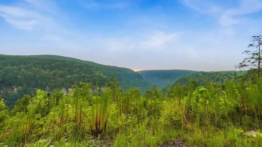 0 Worley Road, Soddy Daisy, TN 37379 - #2