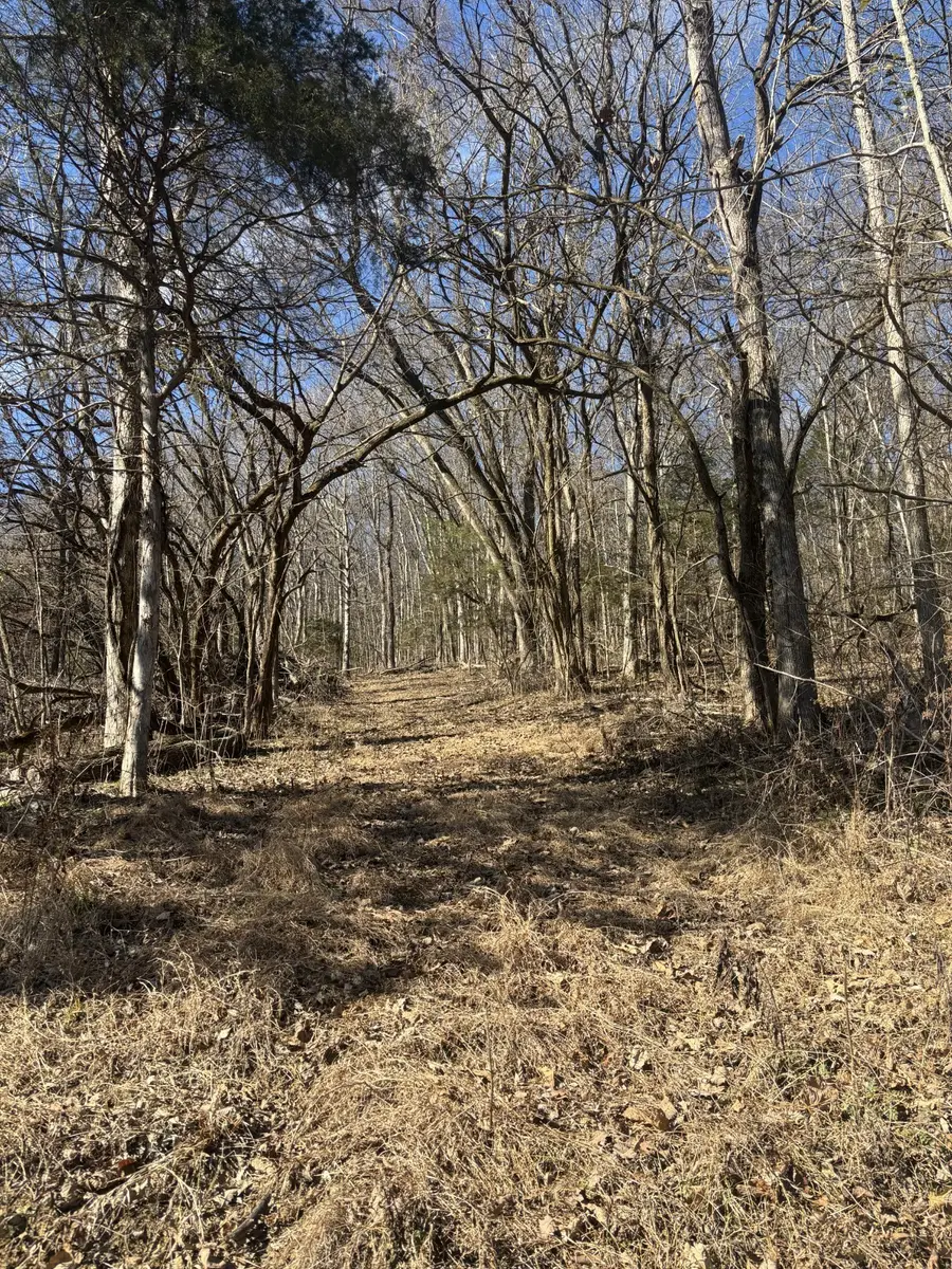 0 Dyer Branch Road, Gordonsville, TN 38563 - #3