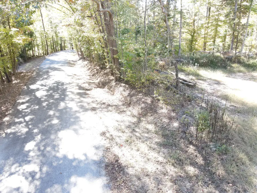 1 Copper Spring Road, Springville, TN 38256 - #2