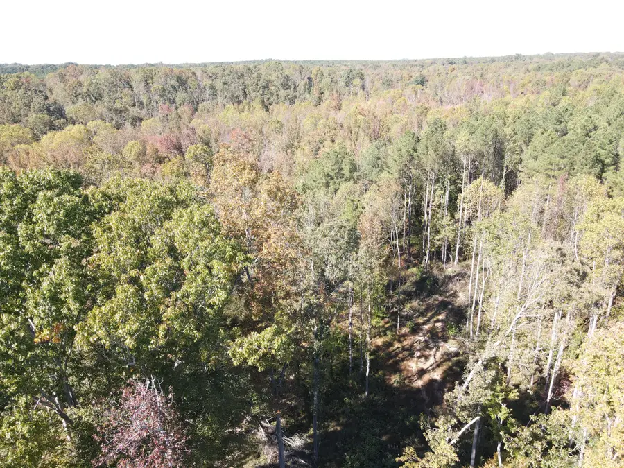 1 Copper Spring Road, Springville, TN 38256 - #3