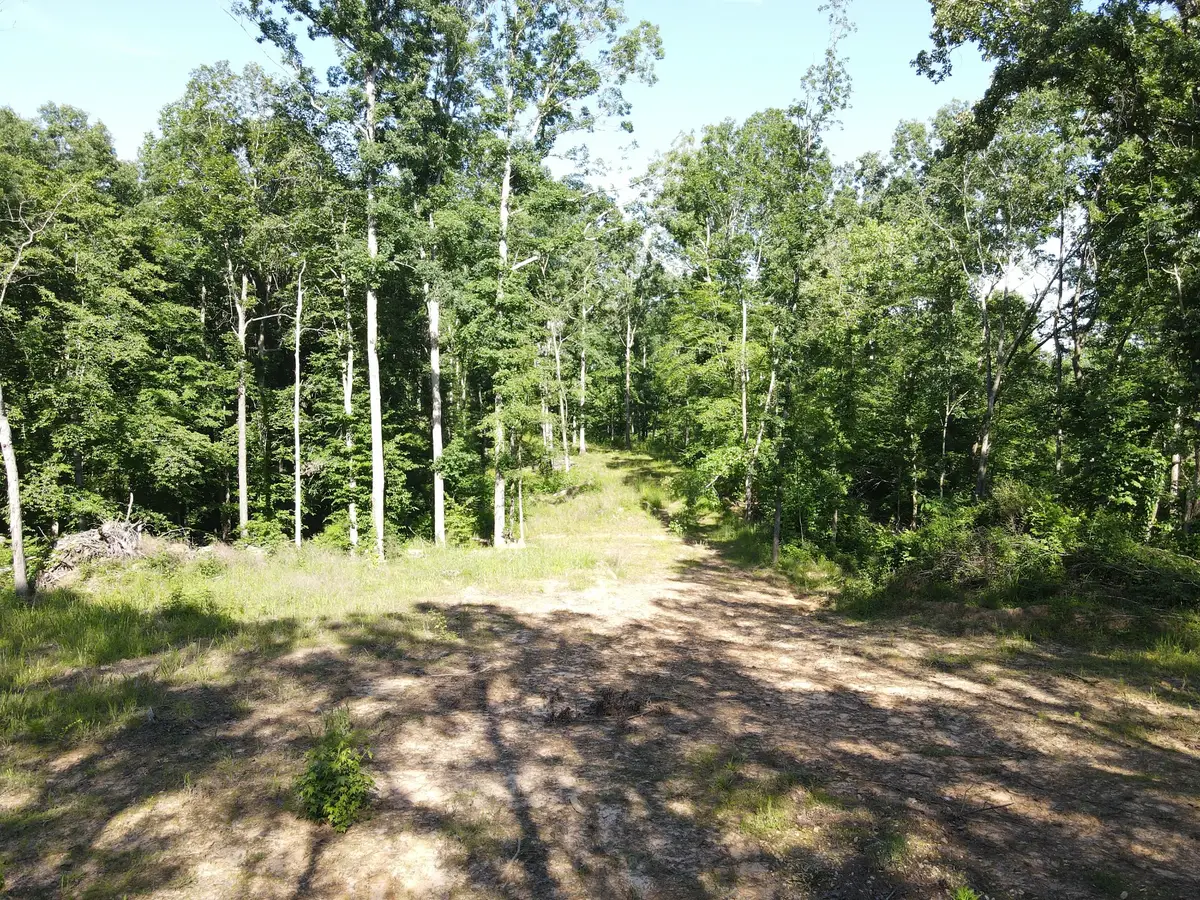 3 Copper Spring Road, Springville, TN 38256 - #1