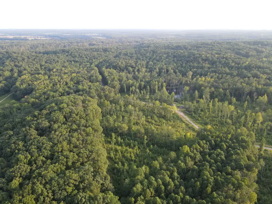 0 Copper Spring Road, Springville, TN 38256 - #2