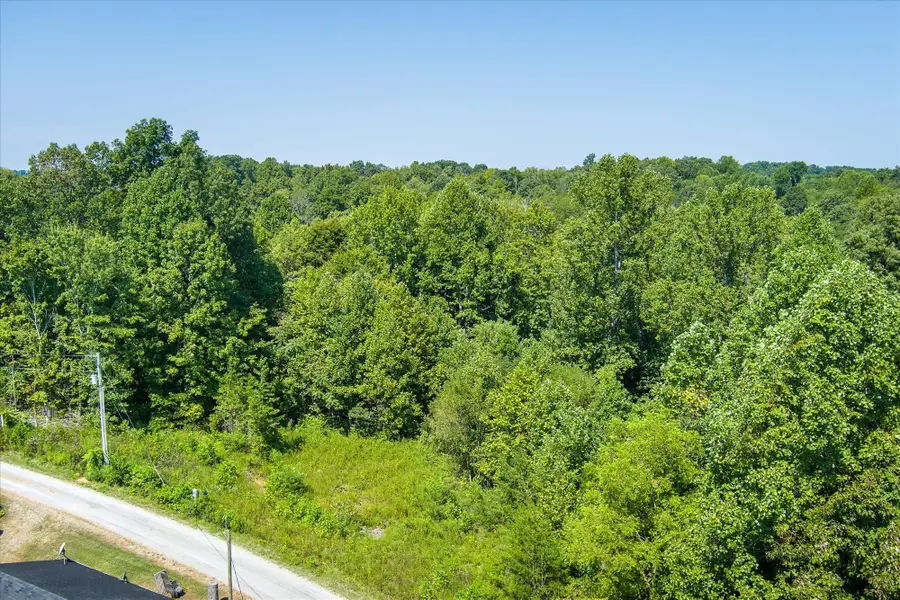 129 Lester Ledbetter Ln, Hilham, TN 38568 - #3