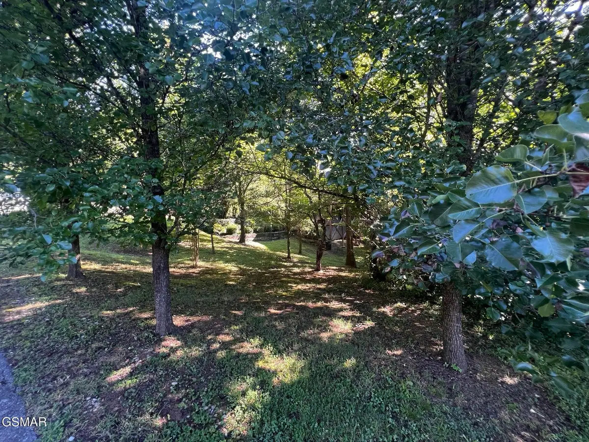 29 Scenic Woods Way, Sevierville, TN 37876 - #1