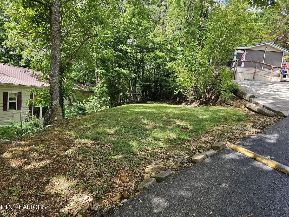 417 Mountain Thrush Drive, Townsend, TN 37882 - #1