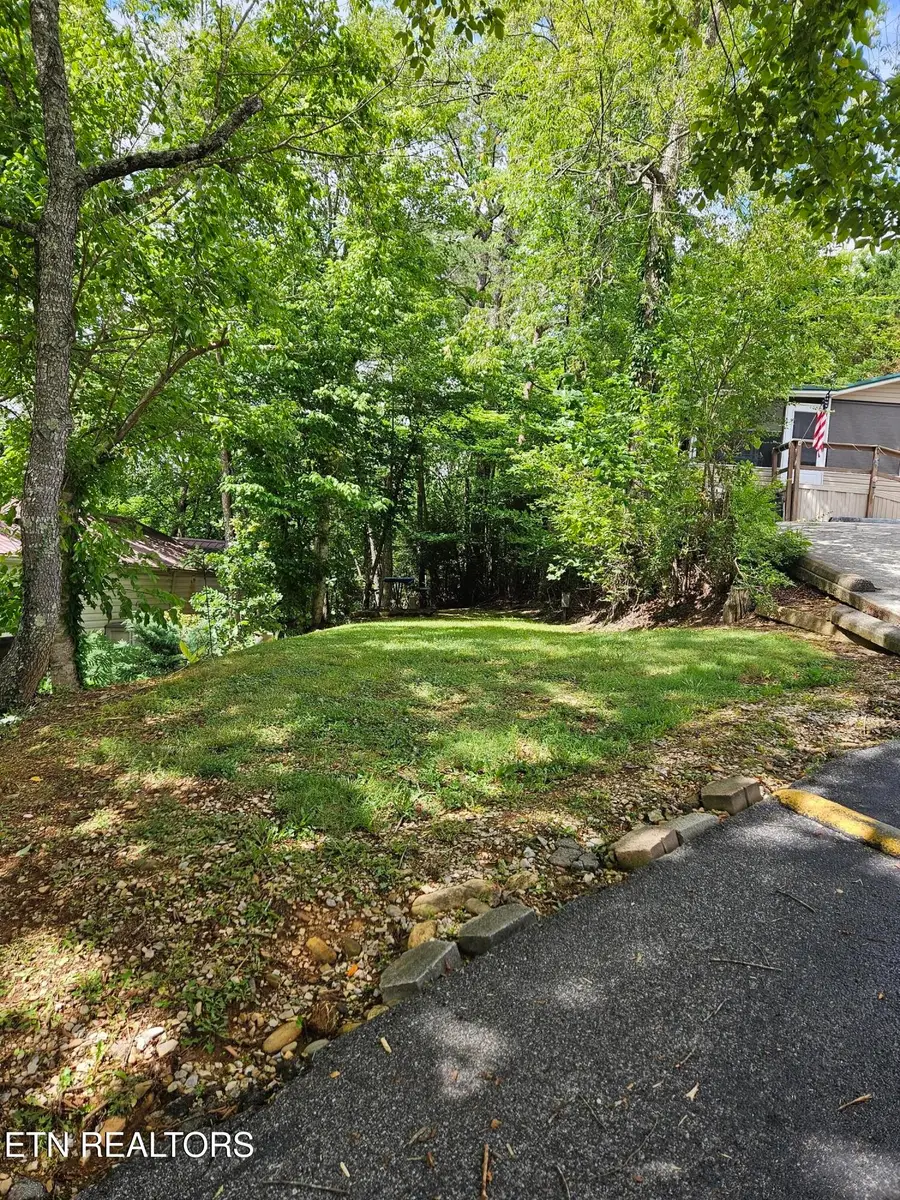 417 Mountain Thrush Drive, Townsend, TN 37882 - #3