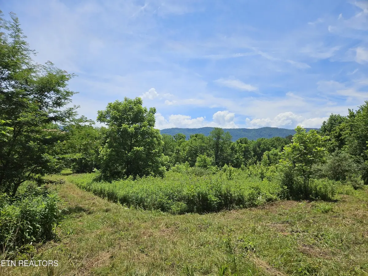 0 Six Mile Rd, Maryville, TN 37803 - #1