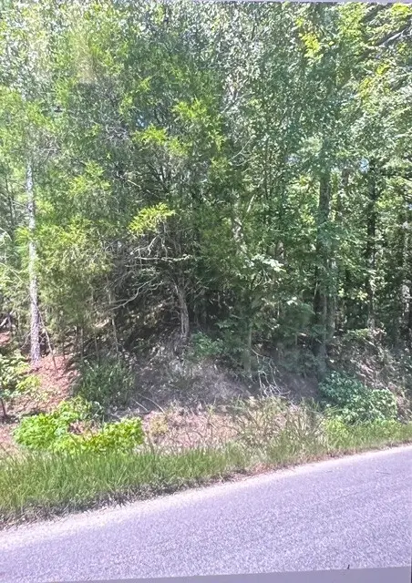 6450 Cuba Landing Rd, Waverly, TN 37185