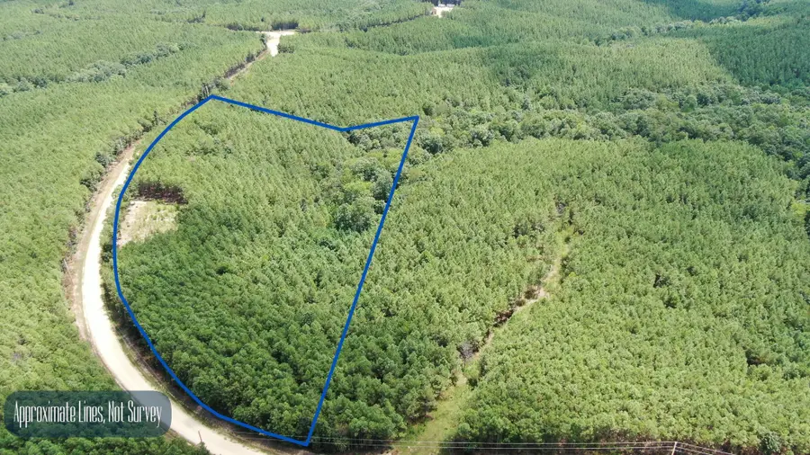 586 Seiber Ridge Rd, Hohenwald, TN 38462 - #2