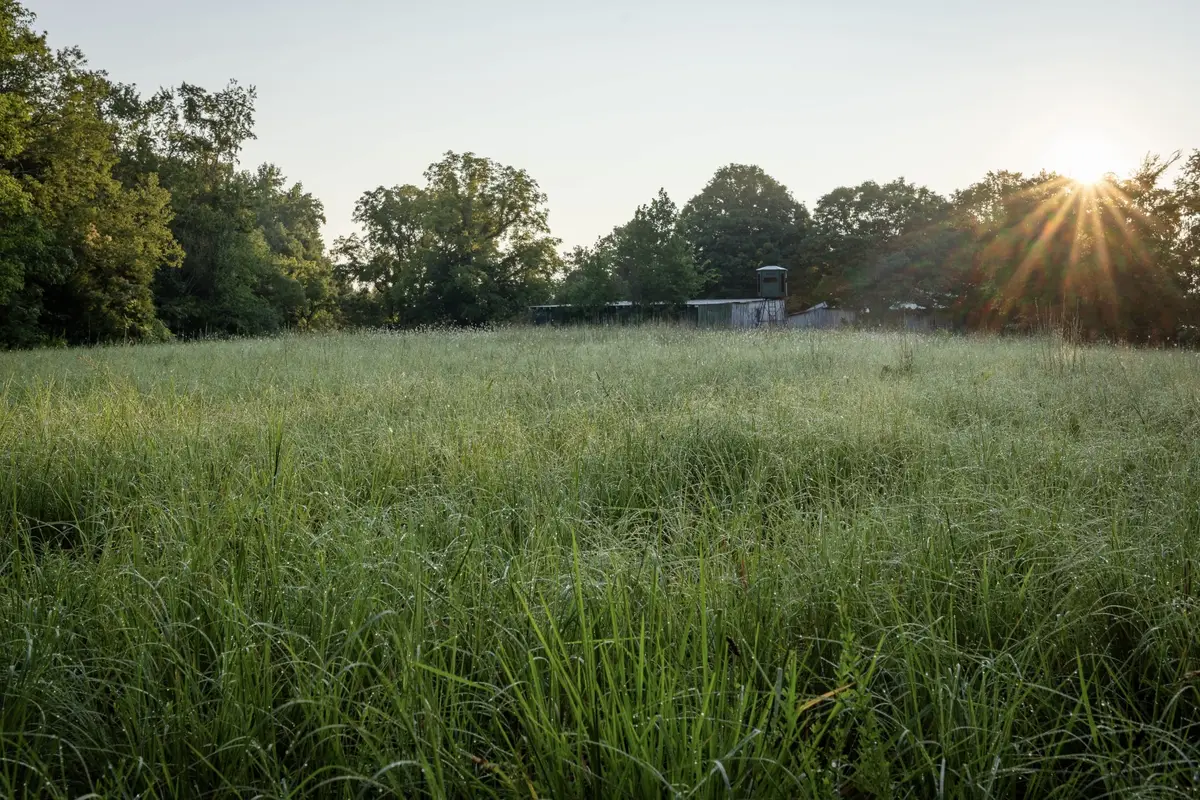 1125 Dawson Road, White Bluff, TN 37187 - #1