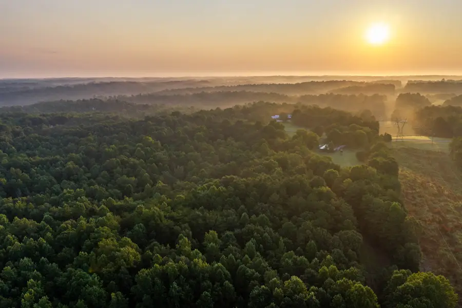 1125 Dawson Road, White Bluff, TN 37187 - #2