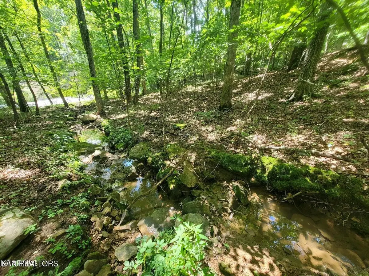 159 Sugarbush Circle, Crossville, TN 38558 - #1