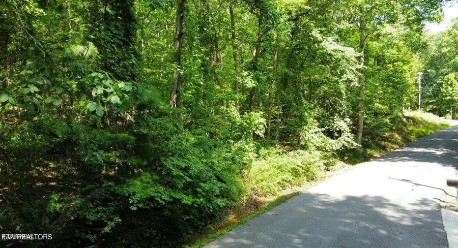 159 Sugarbush Circle, Crossville, TN 38558 - #2