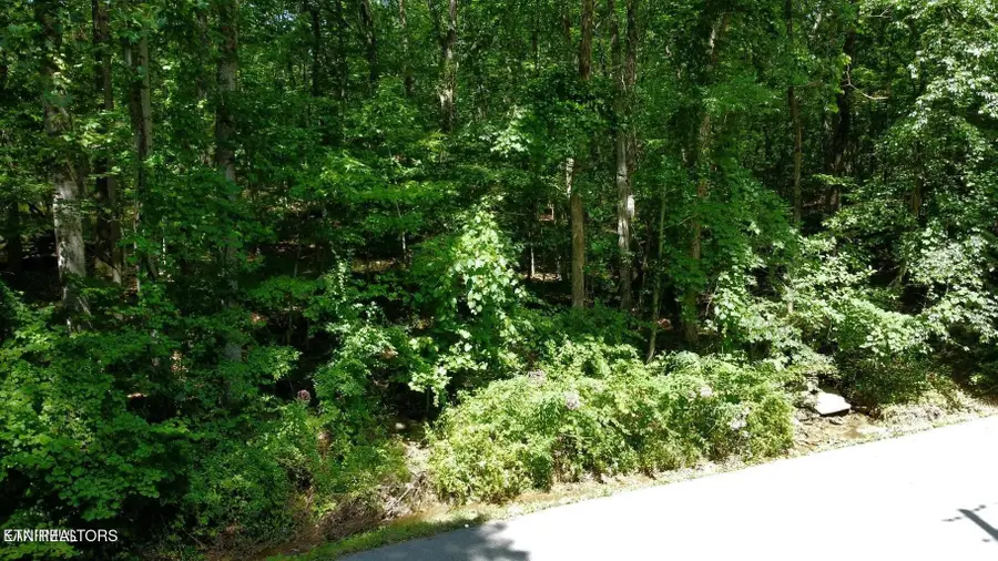 159 Sugarbush Circle, Crossville, TN 38558 - #3