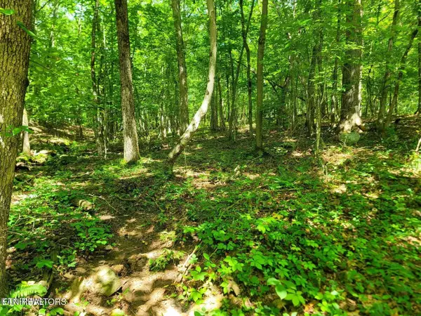 161 Sugarbush Circle, Crossville, TN 38558
