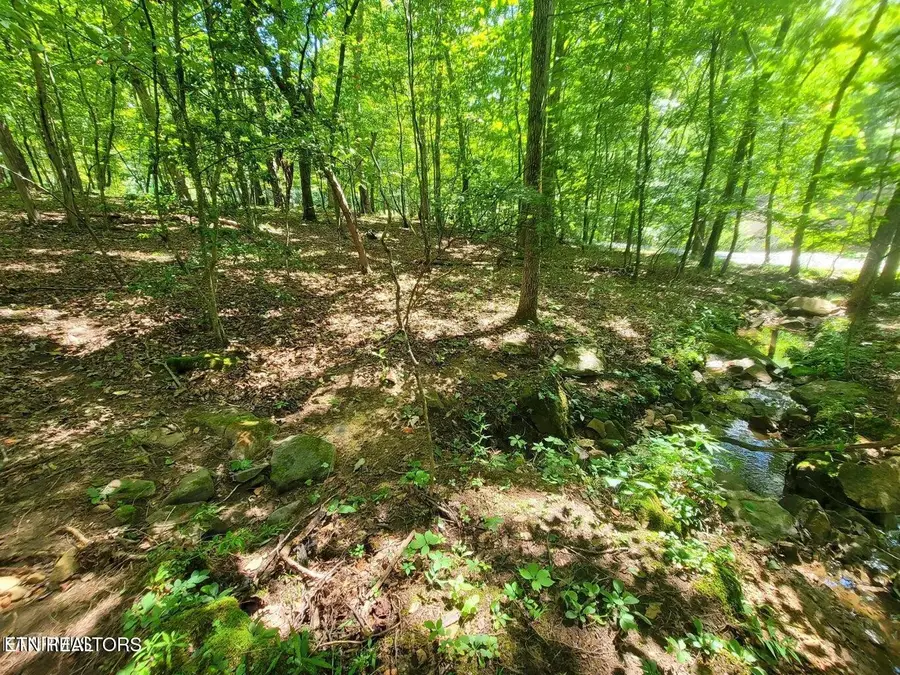 161 Sugarbush Circle, Crossville, TN 38558 - #2