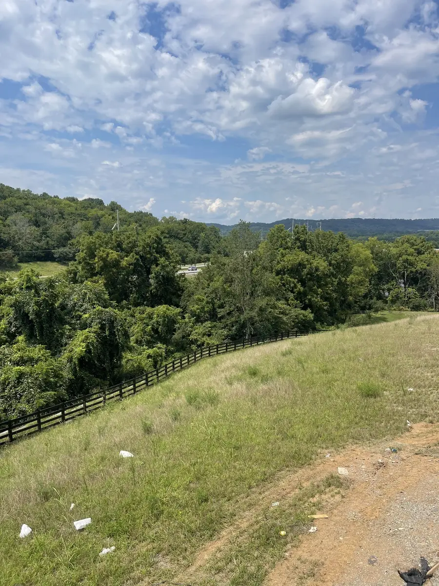213 Berry Hunter Lane, Franklin, TN 37067 - #3