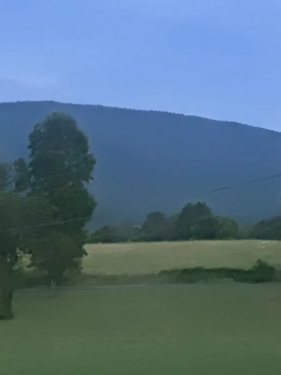 167 County Rd 892, Etowah, TN 37331 - #2