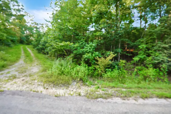 4 Cox Hollow Road, Dover, TN 37058