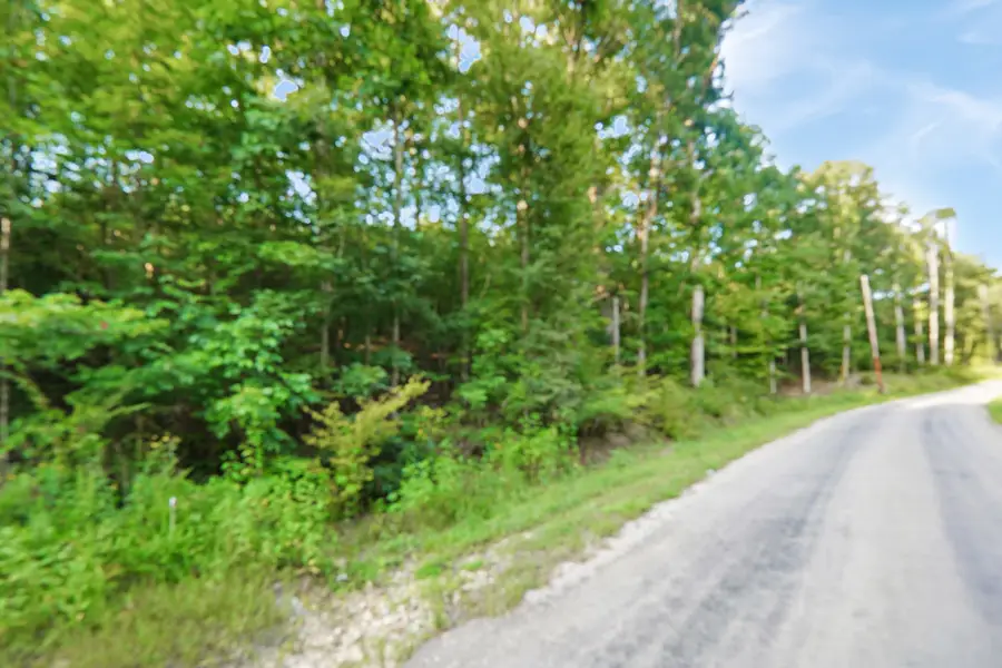 4 Cox Hollow Road, Dover, TN 37058 - #2