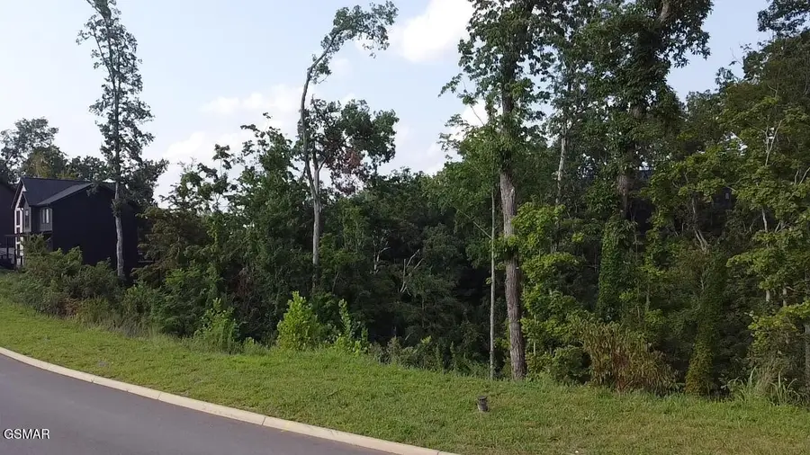 144 Reedmont Way, Sevierville, TN 37876 - #2