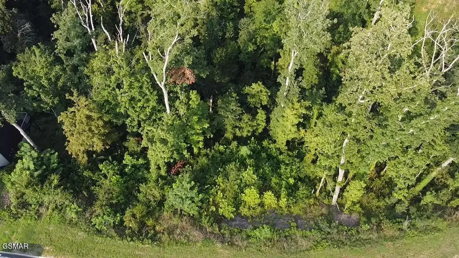 143 Reedmont Way, Sevierville, TN 37876 - #2