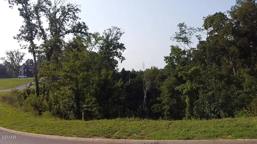 145 Reedmont Way, Sevierville, TN 37876 - #2